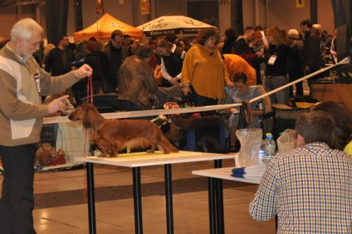 Osiemnasta URODZINOWA i zwie�czaj�ca wystawa - NA’ILI i NABILI Kollapsar